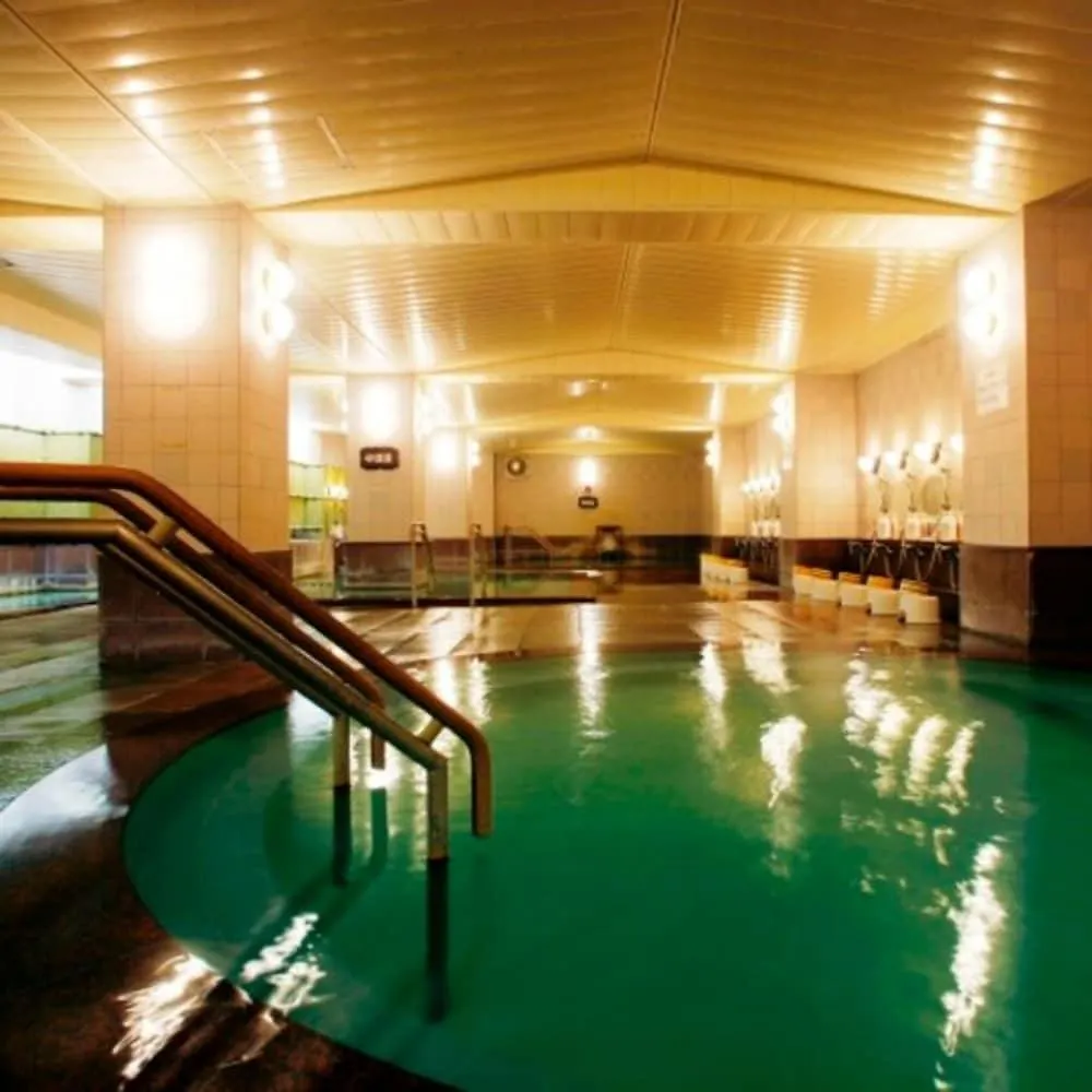 *** Ryokan Sounkyo Kankou Hotel Kamikawa  Japón